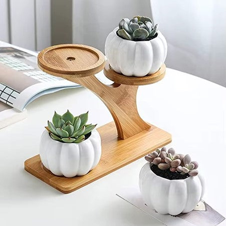Hot Ceramic Small Pumpkin Pot, 3-Tier Indoor Desk Set with Drainage, Mini Bamboo Stand Succulent Planter.