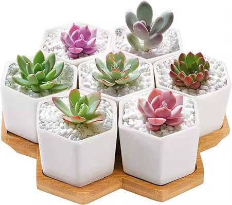 7-Piece Hexagonal Ceramic Mini Succulent Pots with Large Bamboo Tray, for Bookshelf Windowsill Garden Use