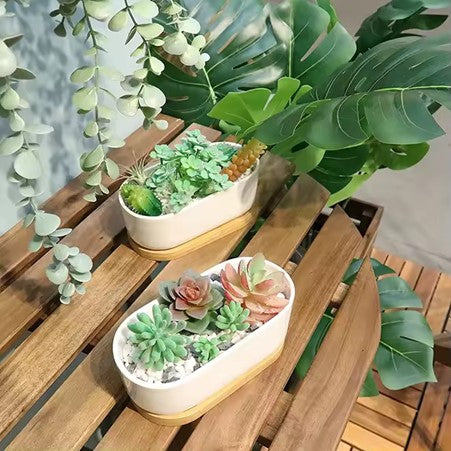 Minimalist White Ceramic Pot with Bamboo Tray for Succulents
