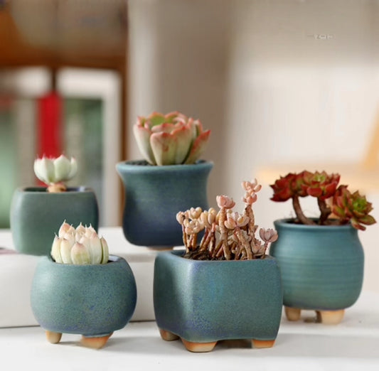 Large-Mouth Ceramic Succulent Pot – Breathable Terracotta, Creative Mini Planter