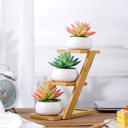 Modern Bamboo Wood Plant Stand for Succulent Plants, Office Desk Mini Garden Display Shelf, Home Décor Plant Holder