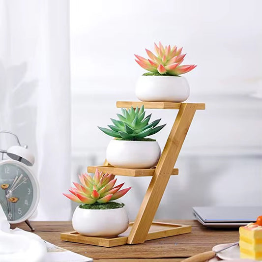 Modern Bamboo Wood Plant Stand for Succulent Plants, Office Desk Mini Garden Display Shelf, Home Décor Plant Holder