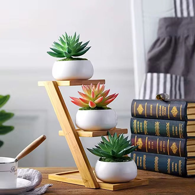 Modern Bamboo Wood Plant Stand for Succulent Plants, Office Desk Mini Garden Display Shelf, Home Décor Plant Holder