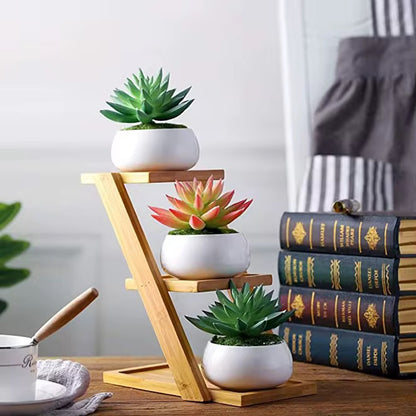 Modern Bamboo Wood Plant Stand for Succulent Plants, Office Desk Mini Garden Display Shelf, Home Décor Plant Holder