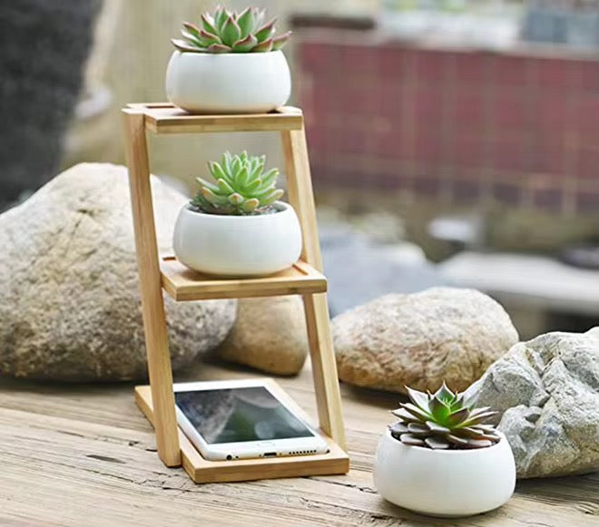Modern Bamboo Wood Plant Stand for Succulent Plants, Office Desk Mini Garden Display Shelf, Home Décor Plant Holder
