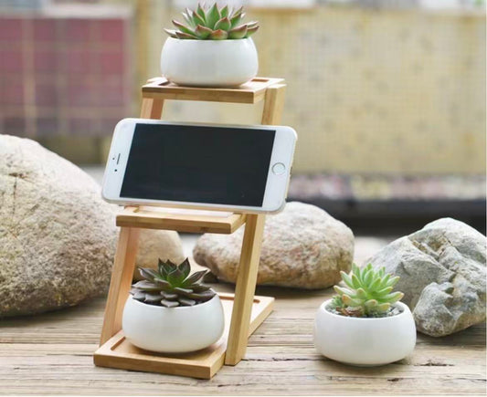 Modern Bamboo Wood Plant Stand for Succulent Plants, Office Desk Mini Garden Display Shelf, Home Décor Plant Holder