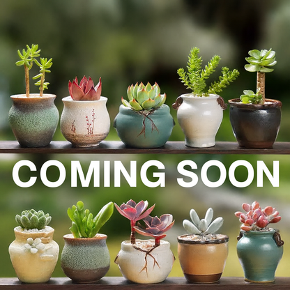 There are 13 pictures in total.For your reference.