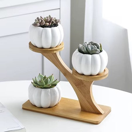 Hot Ceramic Small Pumpkin Pot, 3-Tier Indoor Desk Set with Drainage, Mini Bamboo Stand Succulent Planter.