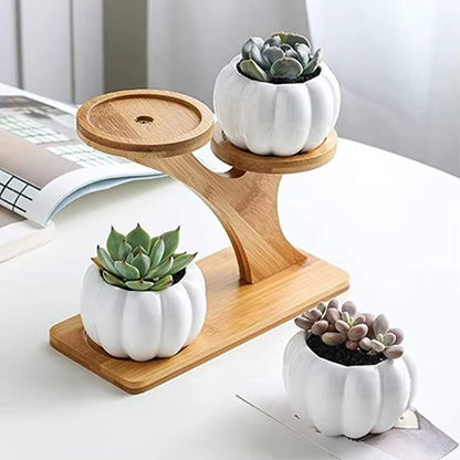 Hot Ceramic Small Pumpkin Pot, 3-Tier Indoor Desk Set with Drainage, Mini Bamboo Stand Succulent Planter.
