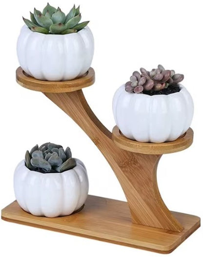 Hot Ceramic Small Pumpkin Pot, 3-Tier Indoor Desk Set with Drainage, Mini Bamboo Stand Succulent Planter.