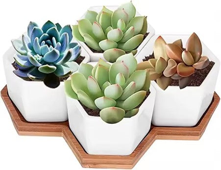 4-Piece Hexagonal Ceramic Mini Succulent Pots with Large Bamboo Tray, for Bookshelf Windowsill Garden Use