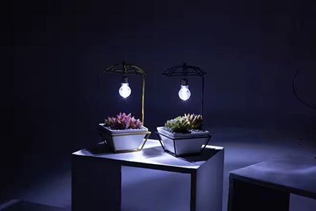 Lighted Ceramic Planter - For succulents/cactus, with drainage hole, ideal for home desk.