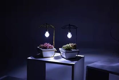 Lighted Ceramic Planter - For succulents/cactus, with drainage hole, ideal for home desk.