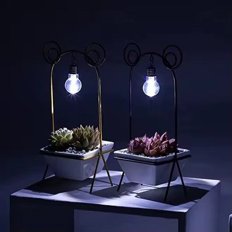 Lighted Ceramic Planter - For succulents/cactus, with drainage hole, ideal for home desk.