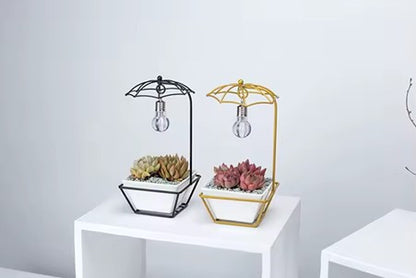 Lighted Ceramic Planter - For succulents/cactus, with drainage hole, ideal for home desk.