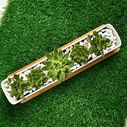 Minimalist White Ceramic Pot with Bamboo Tray for Succulents