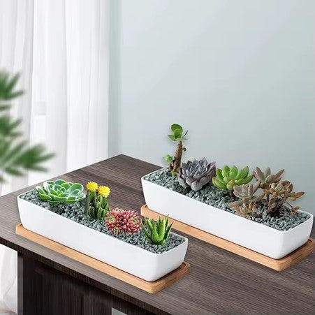 Minimalist White Ceramic Pot with Bamboo Tray for Succulents