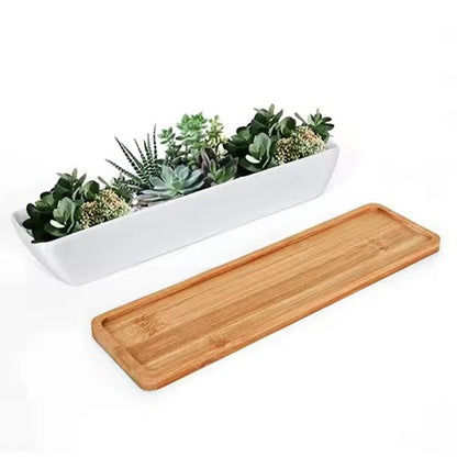 Minimalist White Ceramic Pot with Bamboo Tray for Succulents