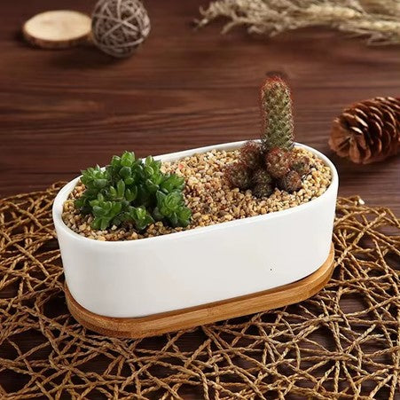 Minimalist White Ceramic Pot with Bamboo Tray for Succulents