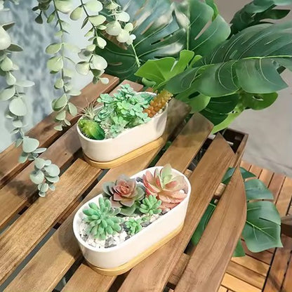 Minimalist White Ceramic Pot with Bamboo Tray for Succulents
